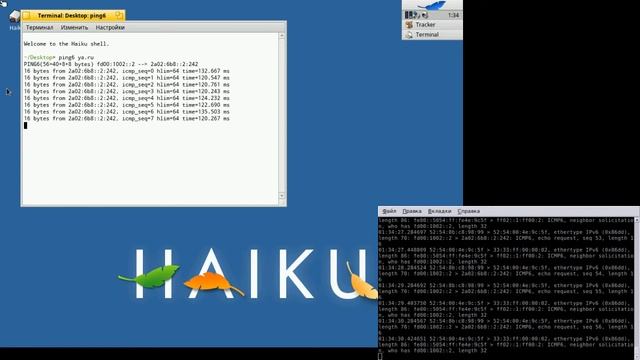 haikuos ipv6 bug смотреть онлайн