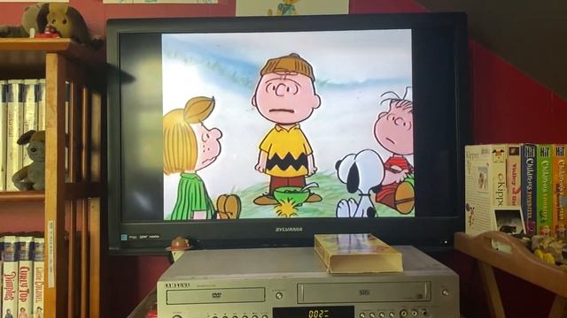 Opening To Allegra’s Window: Small Is Beautiful 1996 VHS смотреть онлайн