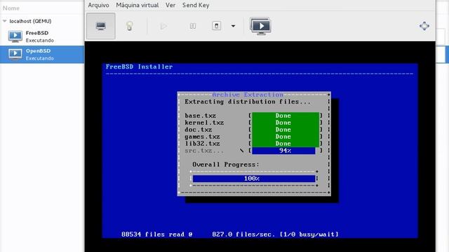 FreeBSD guest KVM смотреть онлайн