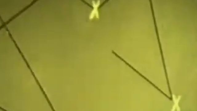 Молекулы и молекулярное движение