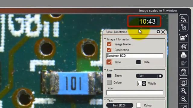 Leica DFC295   Videos  Leica Microsystems 4