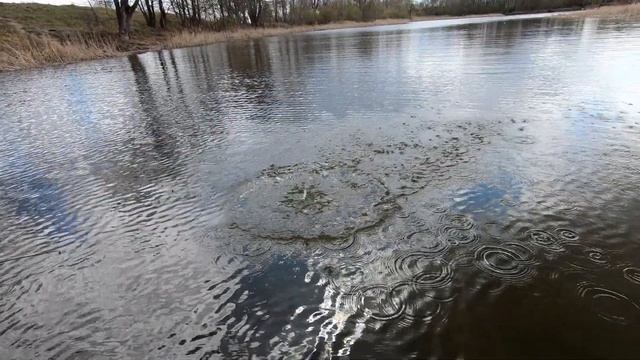 18_4_20_Бондаревка смотреть онлайн