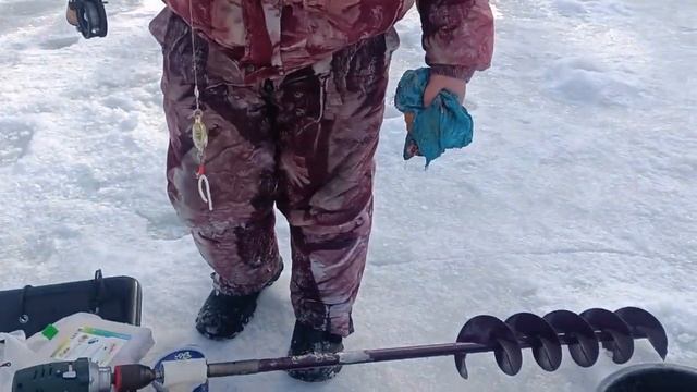 Светофор с подсадкой резины смотреть онлайн