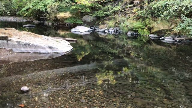 Oregon Nature - Window Swap смотреть онлайн