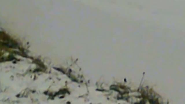 дождались первый лед смотреть онлайн
