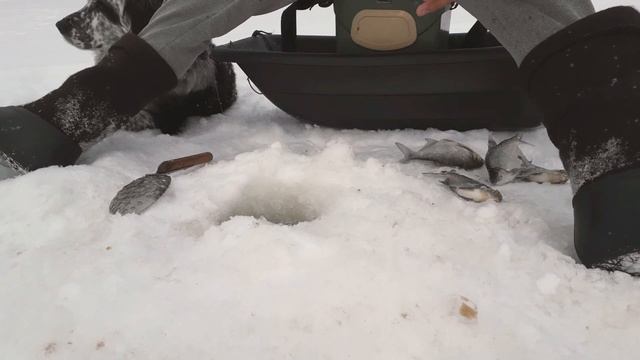 зимняя рыбалка! подлещик, густера на мормышку! смотреть онлайн