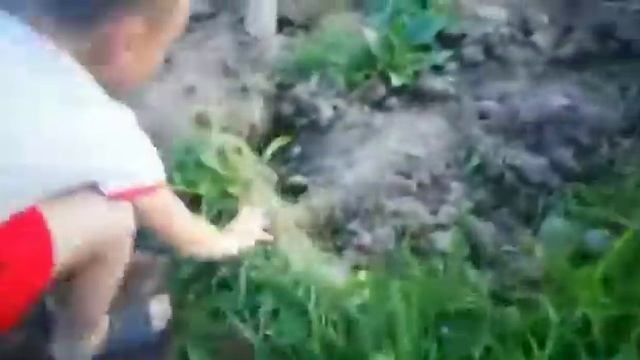 Рыбалка в стиле мастер