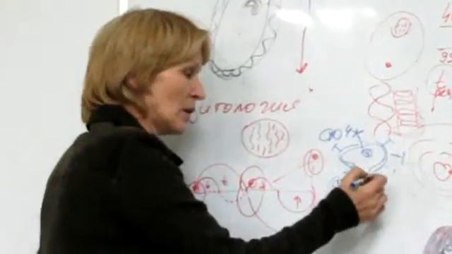 Трансдисциплинарность - это очень просто! часть12