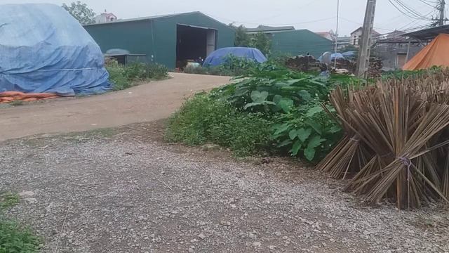 please stay in your seat until the aircraft has come to a complete standstill and смотреть онлайн