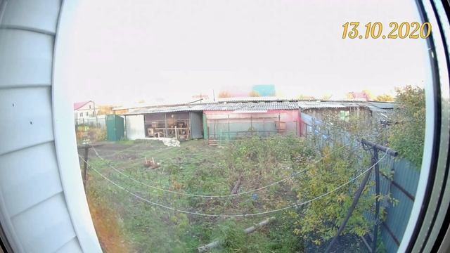 Несколько вольеров с фазанами. Вид из окна кухни смотреть онлайн