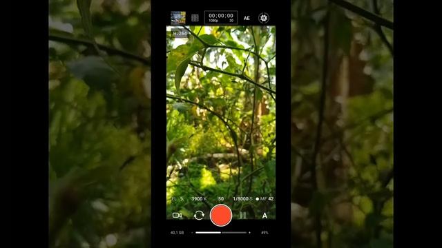 Manual camera dslr ProShot apk camera hd professional mod 2022 смотреть онлайн