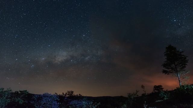 Time Lapse of a Starry Sky in the Countryside - Nature 4K Videos #thenatureholic #4kvideo #nature смотреть онлайн