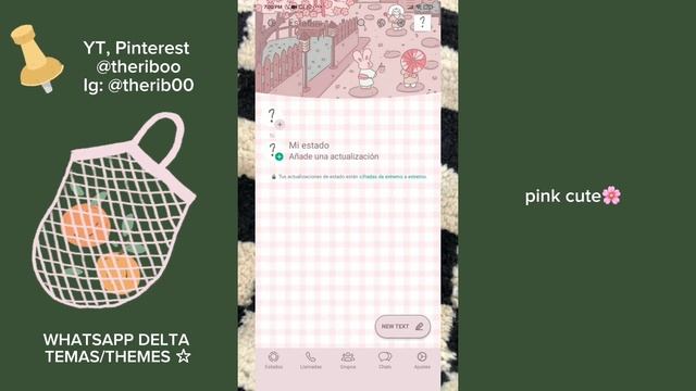 WhatsApp Delta Themes | Temas May 2023 | @theriboo 🍨🦋