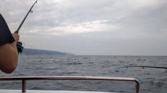 10 на ската снасти заброшены продолжаем ловить ставридку