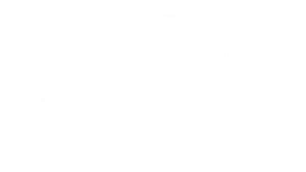 Anishrussia.ru лохотрон с шинами