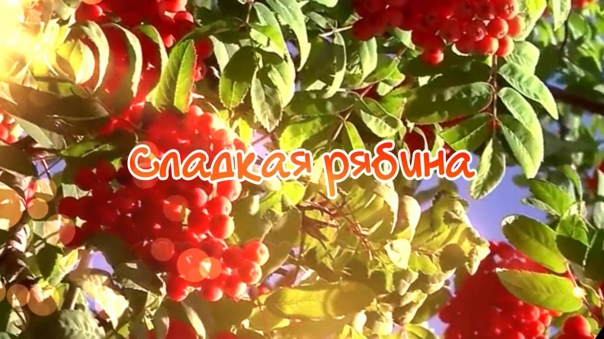 СЛАДКАЯ РЯБИНА. Любовь Великанова. смотреть онлайн