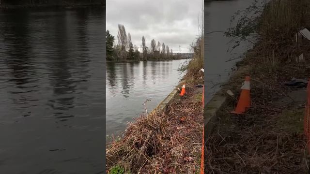 SPU rowing heat 1 part 2 смотреть онлайн
