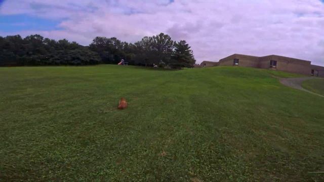 Groundhog Orbit | YOLO FPV смотреть онлайн