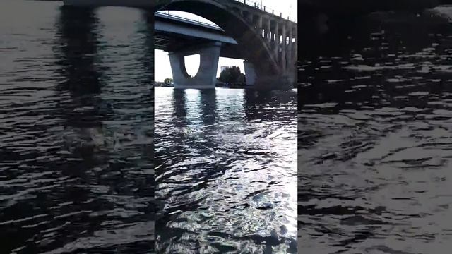 С первого заброса!!! Жерех смотреть онлайн