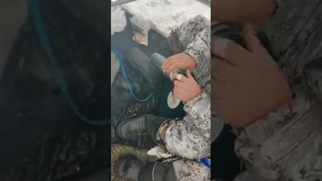 Глухое Новосибирск и дом не пяь звёзд, но результативный 2021 смотреть онлайн