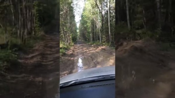 Ssang Yong Actyon по бездорожью