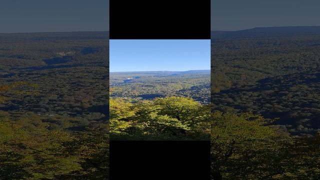 Орлиная полка под музыку на флейте / гуамское ущелье смотреть онлайн