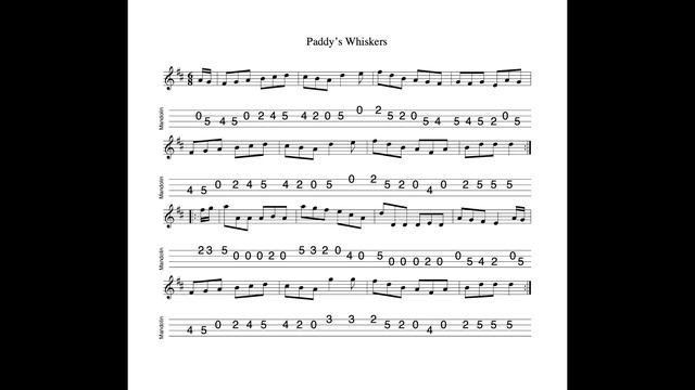 Paddy's Whiskers - a jig in D Major tabbed for mandolin and played by Aidan Crossey смотреть онлайн
