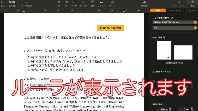 【授業資料】Pages (macOS)でのルーラ表示の切り替え смотреть онлайн
