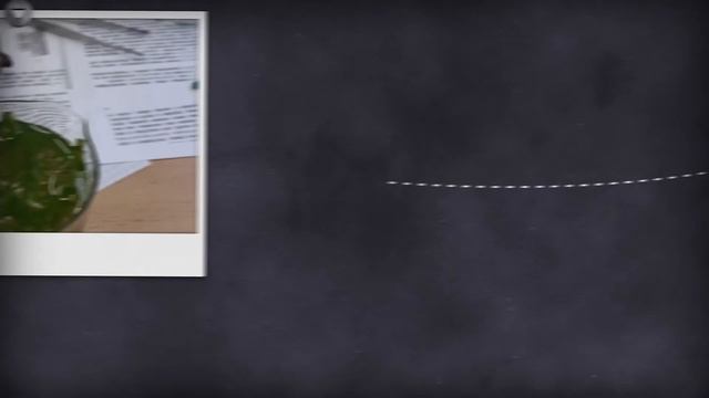 📚 Добро пожаловать на урок биологии!