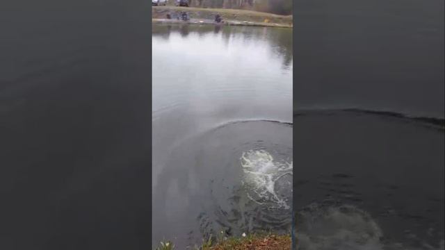 запуск смотреть онлайн