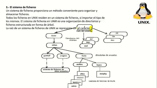 Unix Manual básico Prof. Ismael Arredondo смотреть онлайн