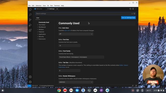 How to Set Up a Custom Title Bar in VS Code on a Chromebook смотреть онлайн