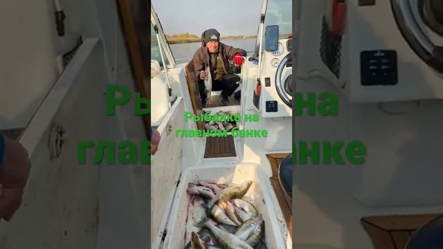 21 февраля 2022 г. смотреть онлайн