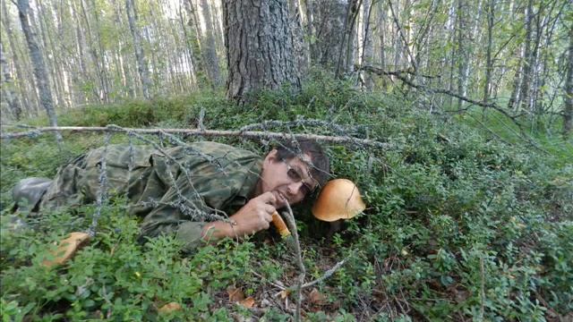 Вспомни о лете смотреть онлайн