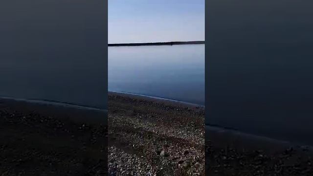 Сахалин, устье реки Лютога, сборы на рыбалку #рыбалка #fishing #nature #море смотреть онлайн