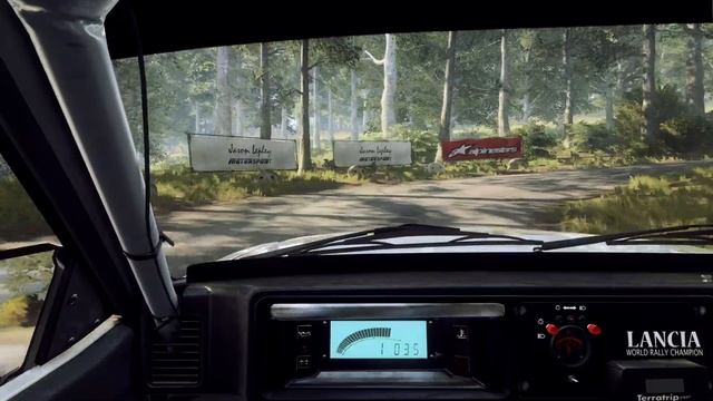 DIRT RALLY 2.0/100%VERY HARD/FULL DAMAGE/GERMANY.