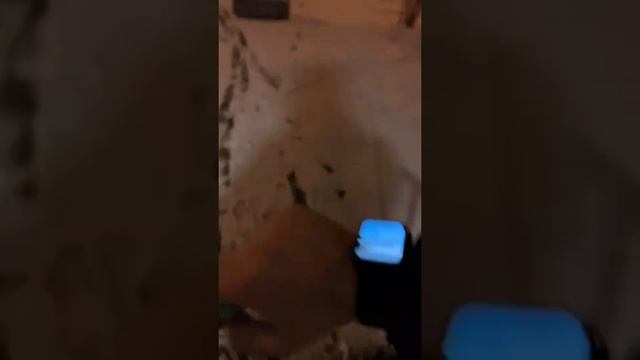 18 ноября 📆 Первая поставка на OZON смотреть онлайн