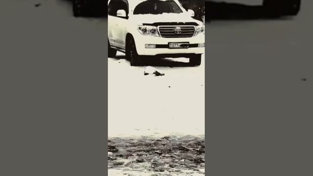 Нурминский 2019Купить бы джип ...😎 смотреть онлайн