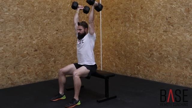 Seated Dumbbell Press смотреть онлайн