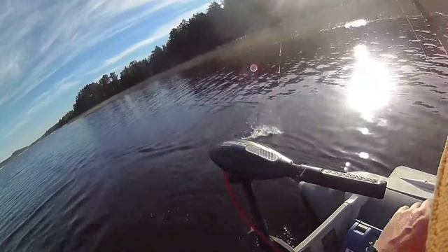 начало лета 2021, пошла форель смотреть онлайн