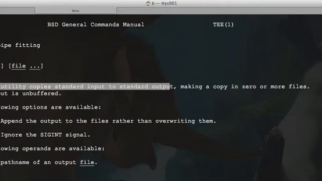Using tar, tee, and fifos смотреть онлайн