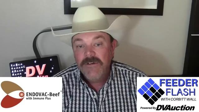 Feeder Flash 3/6: Super Tuesday смотреть онлайн