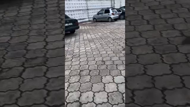 🕷 смотреть онлайн