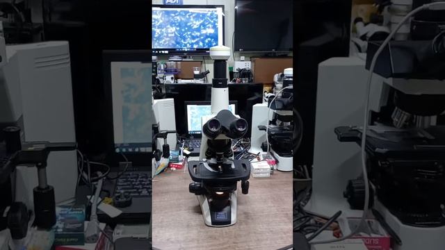 NIKON ECLIPSE E200 pHASE MICROSCOPE 니콘 이클립스 E200 위상차현미경 смотреть онлайн