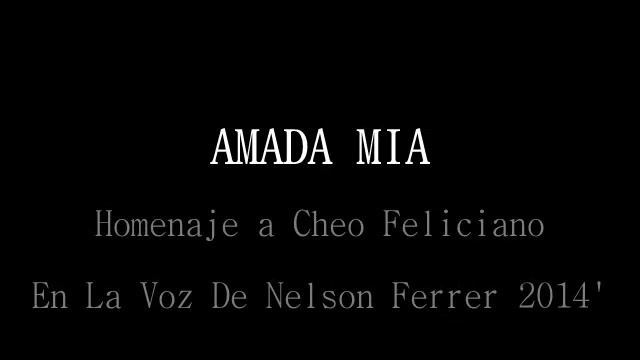 Amada Mia Homenaje a cheo de Nelson Ferrer El Salsero 2014' смотреть онлайн