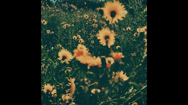 Sunbyonic - Bouquet of paper flowers (Day Mix) смотреть онлайн