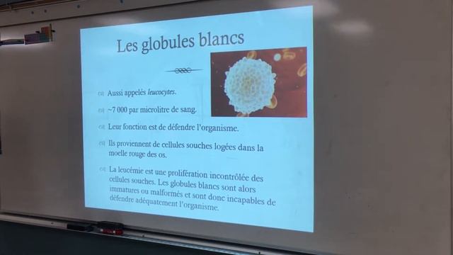 Sc. Santé 20 (Le système sanguin) смотреть онлайн