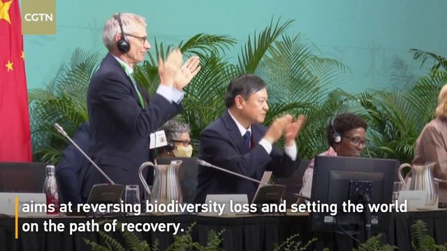 Kunming-Montreal Global Biodiversity Framework adopted at COP15 смотреть онлайн