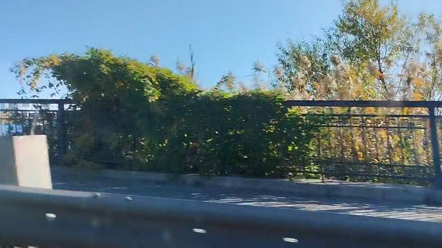 Воронеж смотреть онлайн