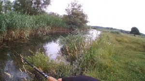 успешная проводка силиконовой приманки! щуку можно вытащить из куширей!